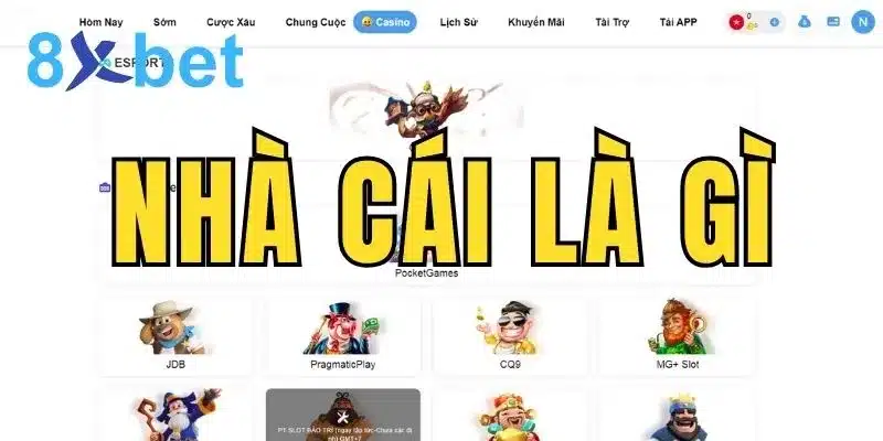 Nhà cái là gì? Thông tin chi tiết về giải trí trực tuyến 1 Nhà cái là gì?