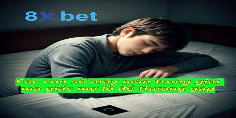 Giải mã giấc mơ lô đề và những thông tin bạn cần biết 3 Các con số may mắn trong giải mã giấc mơ lô đề thường gặp